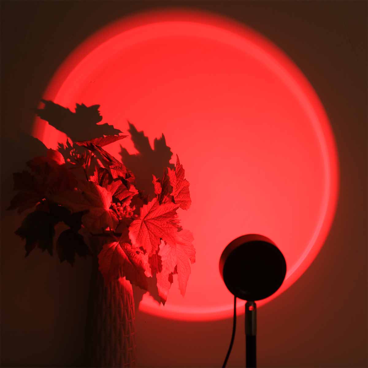ไฟฉายโปรเจคเตอร์แสงพระอาทิตย์ต - Photography Lighting Wall บทวิจารณ์และราคา